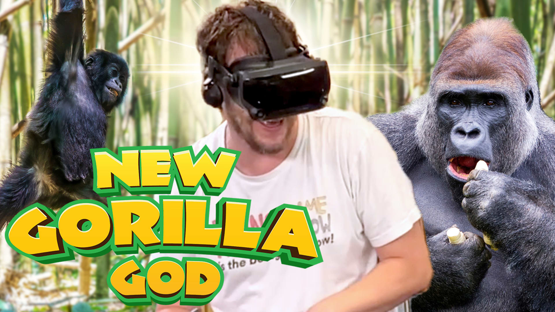 There's a New Alpha Silverback in Gorilla Tag VR - Rooster Teeth